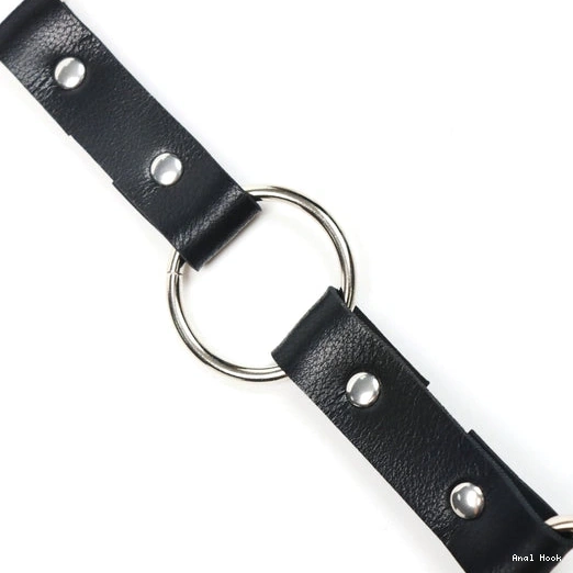 Kinky 5853 Hook Anal and Collar with Leash EverydayUse 0718